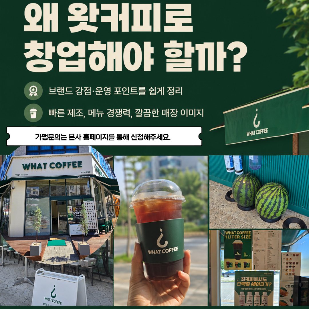 여름 시즌 무드 컷